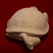 Zolw duzy  - 3
